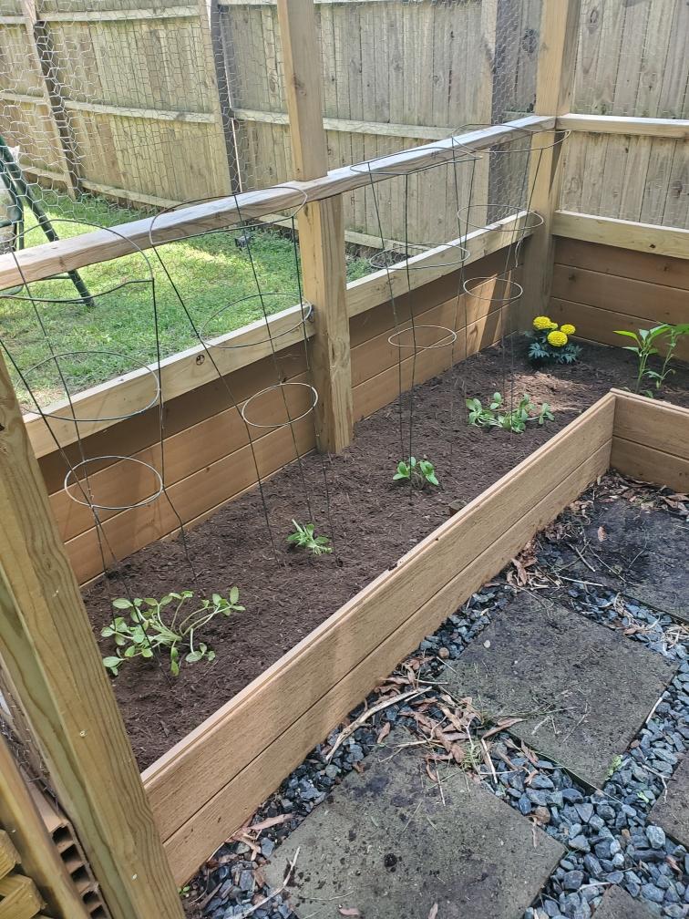 Bradie's Custom Construction project 178